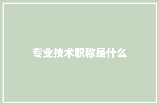 专业技术职称是什么