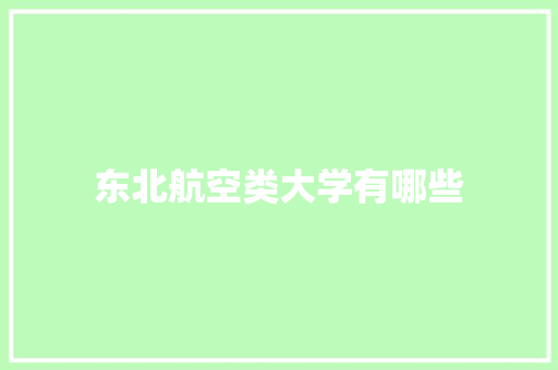 东北航空类大学有哪些 商业计划书范文