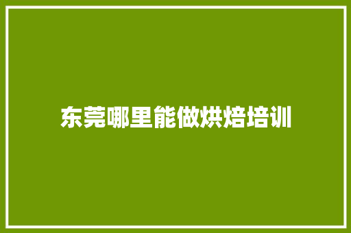 东莞哪里能做烘焙培训
