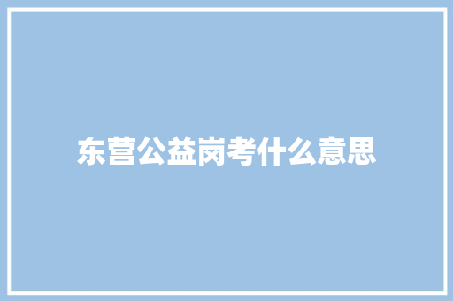 东营公益岗考什么意思 说明文范文