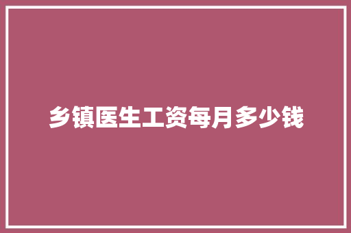 乡镇医生工资每月多少钱