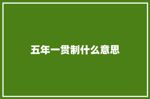 五年一贯制什么意思