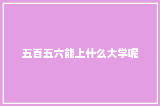 五百五六能上什么大学呢