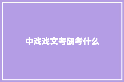 中戏戏文考研考什么