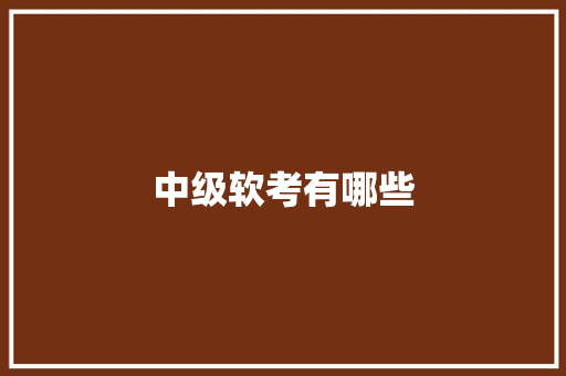 中级软考有哪些