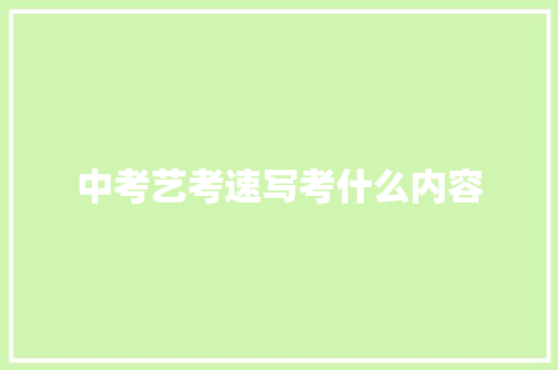 中考艺考速写考什么内容