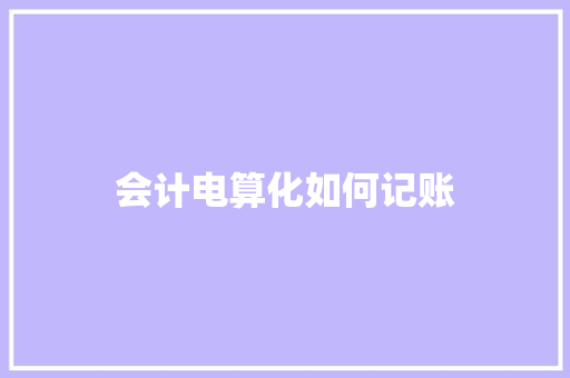 会计电算化如何记账