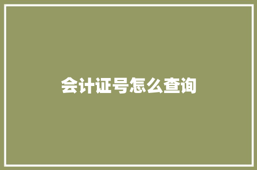 会计证号怎么查询
