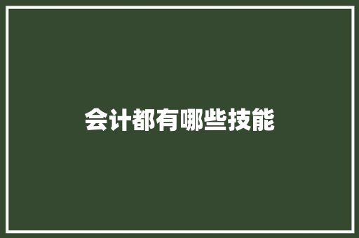 会计都有哪些技能