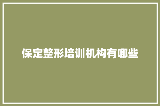 保定整形培训机构有哪些 商业计划书范文