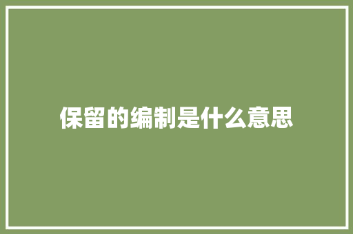 保留的编制是什么意思 说明文范文