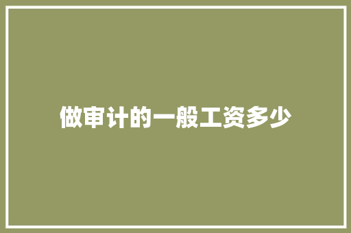 做审计的一般工资多少 记叙文范文