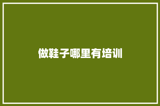 做鞋子哪里有培训