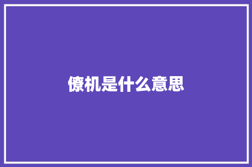 僚机是什么意思