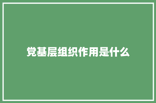 党基层组织作用是什么 演讲稿范文