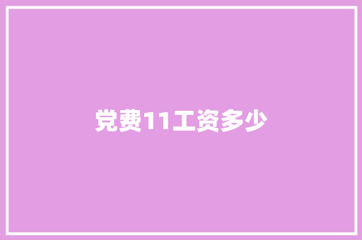 党费11工资多少