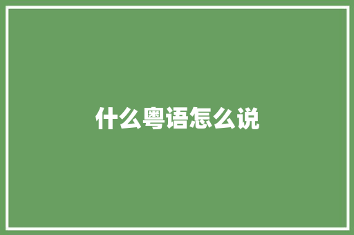 什么粤语怎么说