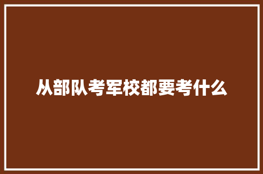 从部队考军校都要考什么 散文范文