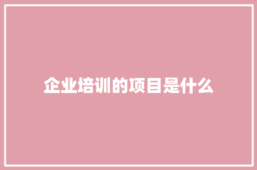 企业培训的项目是什么