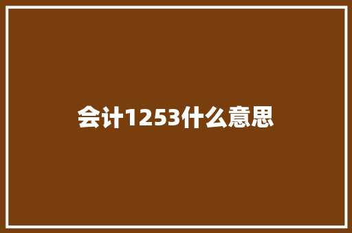 会计1253什么意思 说明文范文