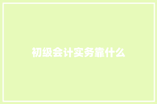 初级会计实务靠什么 简历范文