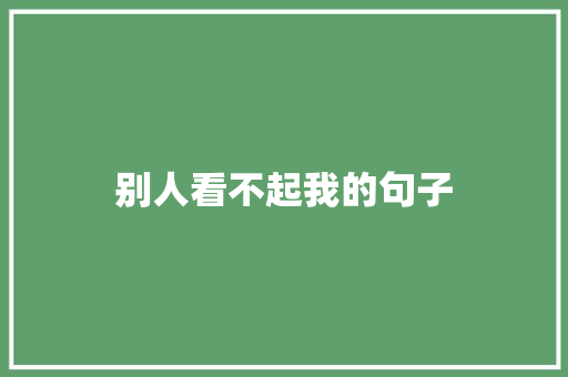 别人看不起我的句子 说明文范文