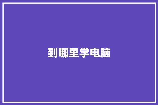 到哪里学电脑 说明文范文
