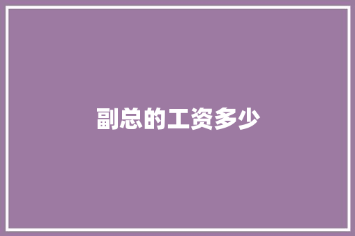 副总的工资多少