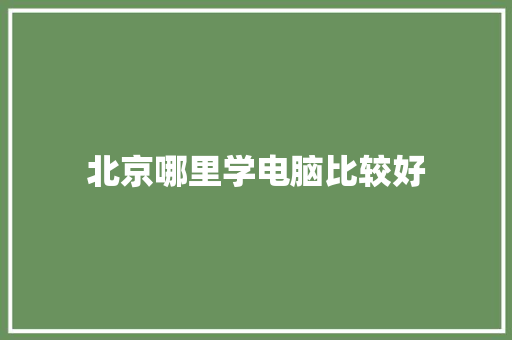 北京哪里学电脑比较好