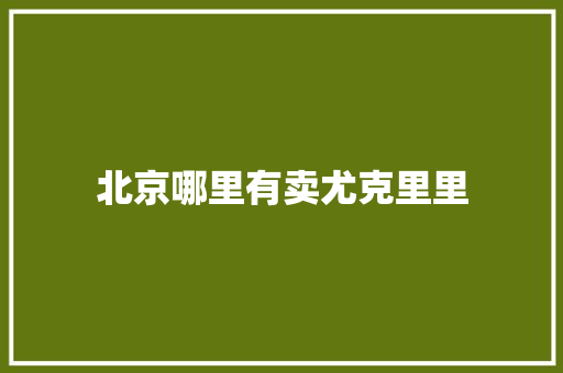 北京哪里有卖尤克里里
