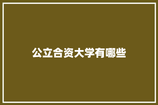 公立合资大学有哪些 商业计划书范文