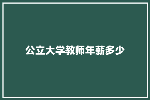 公立大学教师年薪多少