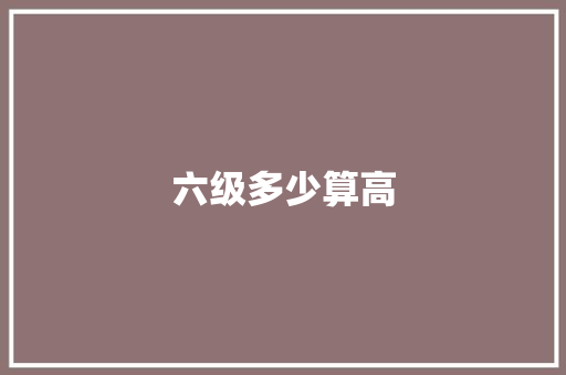 六级多少算高