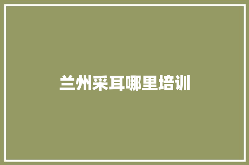 兰州采耳哪里培训