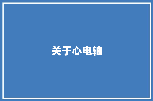 关于心电轴