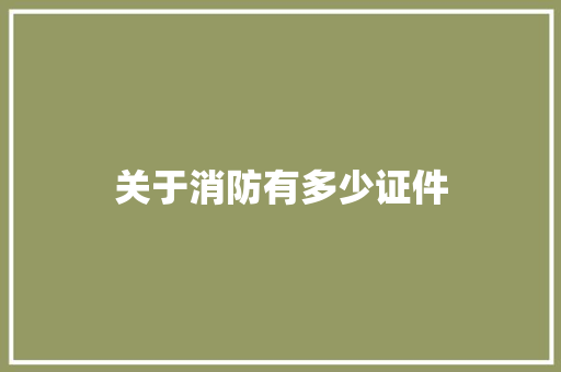 关于消防有多少证件 诗歌范文