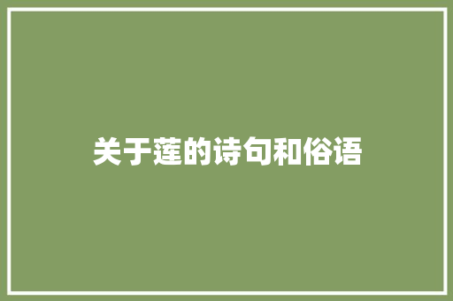 关于莲的诗句和俗语
