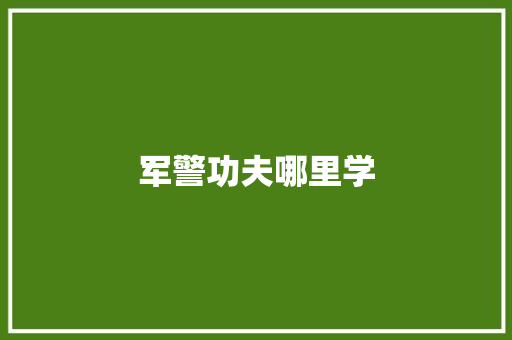军警功夫哪里学 演讲稿范文