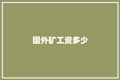 国外矿工资多少