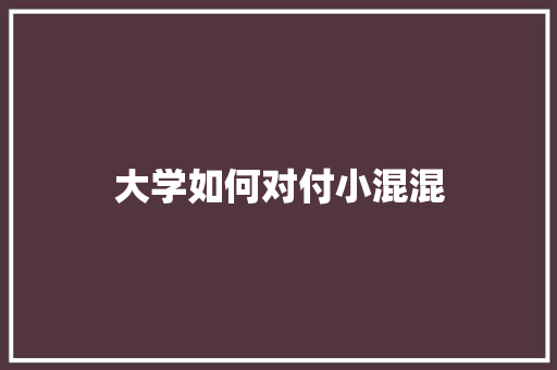 大学如何对付小混混 简历范文