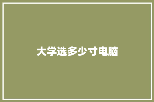 大学选多少寸电脑