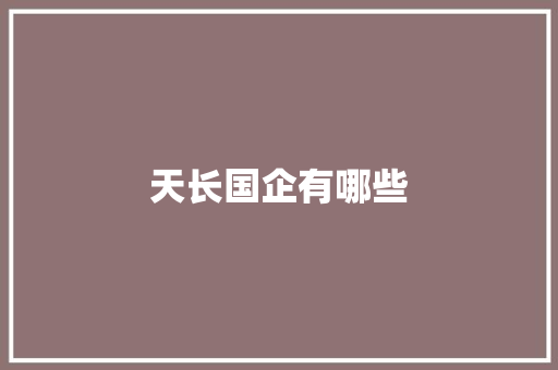 天长国企有哪些
