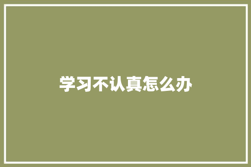 学习不认真怎么办 说明文范文