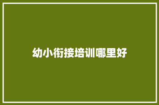 幼小衔接培训哪里好