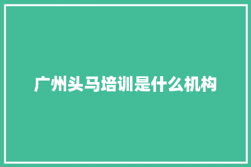 广州头马培训是什么机构