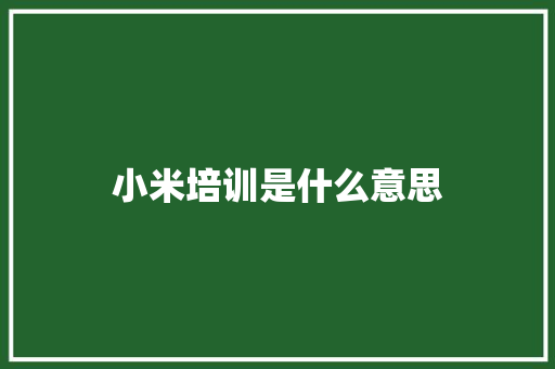 小米培训是什么意思 演讲稿范文
