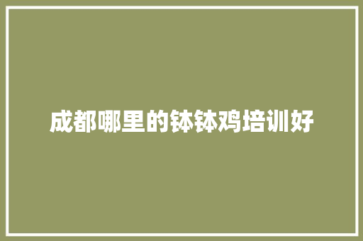 成都哪里的钵钵鸡培训好
