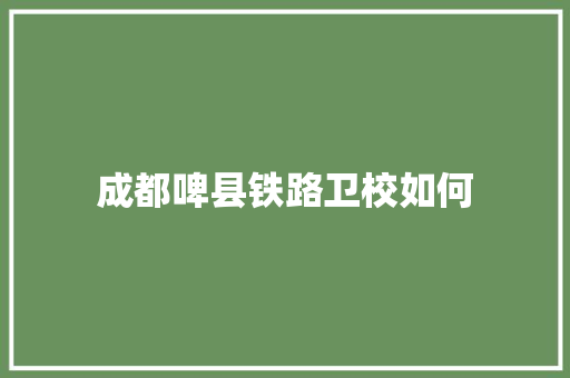 成都啤县铁路卫校如何