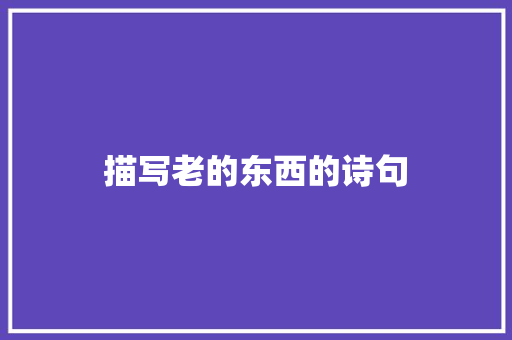 描写老的东西的诗句