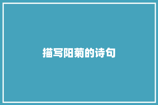 描写阳菊的诗句